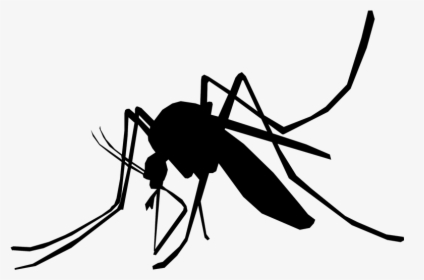 Household Insect Repellents Mosquito Control Pest Control - Mosquito Illustration Png, Transparent Png, Transparent PNG