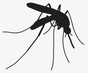 Healthy Adult Participants Needed For Vaccine Study - Keep The Door Closed To Avoid Mosquitoes, HD Png Download, Transparent PNG