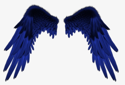 Background Editing Wings Hd, HD Png Download , Transparent Png Image -  PNGitem