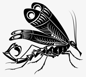 Mosquito Scorpion - Clipart Drawing Mosquito, HD Png Download, Transparent PNG