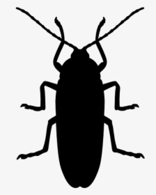 Insect Silhouette Png, Transparent Png, Transparent PNG