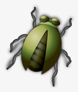 Bug Clip Art, HD Png Download, Transparent PNG