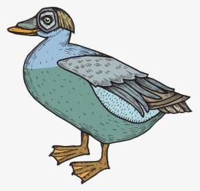 Clip Art, HD Png Download, Transparent PNG
