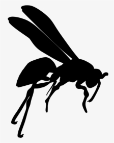 Flying Wasp Silhouette, HD Png Download, Transparent PNG