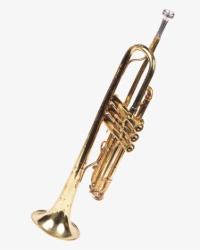 Transparent Trumpet Brass Family, HD Png Download, Transparent PNG