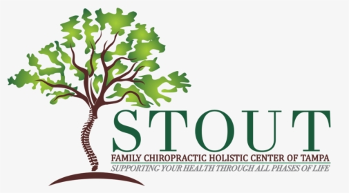 Stout Family Chiropractic Logo, HD Png Download, Transparent PNG