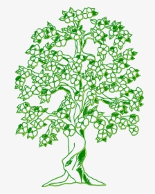 Tree, Forest, Green, Ecology, Eco, Environment - Tree Pictures Drawing Family, HD Png Download, Transparent PNG