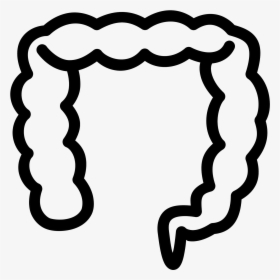 The Image Looks Like A Long Deflated Balloon That Is - Large Intestine, HD Png Download, Transparent PNG