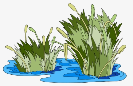 Swamp Vector Marsh Grass - Pantano Png, Transparent Png, Transparent PNG