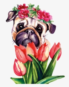 #pug #puglife #floraldog #scpug #stickerchallenge #pug - Pug, HD Png Download, Transparent PNG