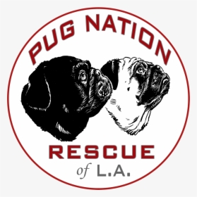 Pug Nation Logo, HD Png Download, Transparent PNG