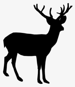 Deer, Animal, Antler, Stand, Silhouette, Black - Transparent Background Deer Silhouette Png, Png Download, Transparent PNG