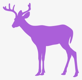 Whitetail Deer Deer Silhouette Clipart, HD Png Download, Transparent PNG