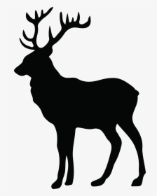 Stag Silhouette At Getdrawings - White Tail Deer Silhouette, HD Png Download, Transparent PNG