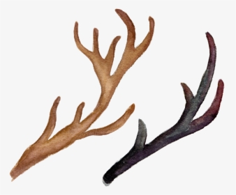 Download H Watercolor Flowers - Antlers With Flowers Clipart, HD Png Download, Transparent PNG