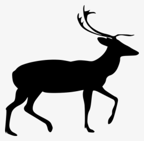 Animal, Deer, Mammal, Silhouette, Stag, Zoo - Deer Silhouette Png, Transparent Png, Transparent PNG