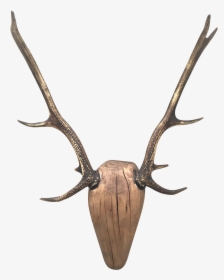 Deer Antlers Transparent - Antlers Transparent Background, HD Png Download, Transparent PNG