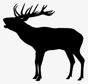 Clip Art Elk Antler Silhouette - Kronhjort Silhuet, HD Png Download, Transparent PNG