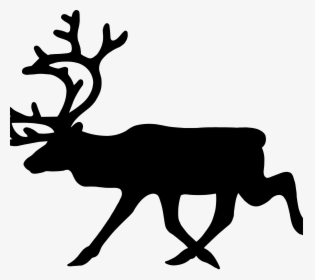 Elk - Black And White Reindeer, HD Png Download, Transparent PNG