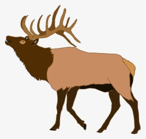 Stag Vector Elk Head - Parallax Correction, HD Png Download, Transparent PNG