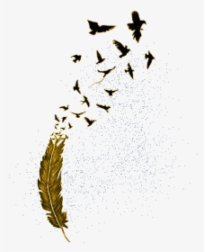Birds Flying From Feather, HD Png Download, Transparent PNG