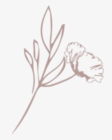 The Fresh Bloom Floral Mark Blush - Illustration, HD Png Download, Transparent PNG