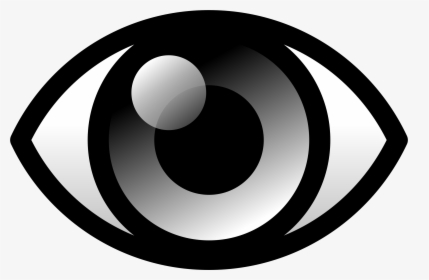 Eye Symbol Png - Bird Eye Icon Transparent, Png Download, Transparent PNG