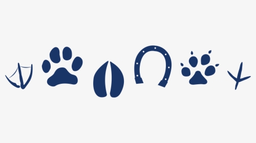 Blue Paw Png, Transparent Png, Transparent PNG