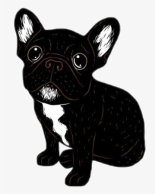#pugblack #pug #black #cachorro #stickerspopulares - Frenchie Stickers, HD Png Download, Transparent PNG