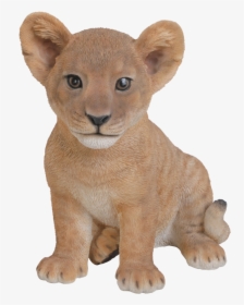Mammal,vertebrate,animal - Lion With Cubs Png, Transparent Png, Transparent PNG