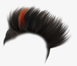 All Png Hair Style, Transparent Png, Transparent PNG