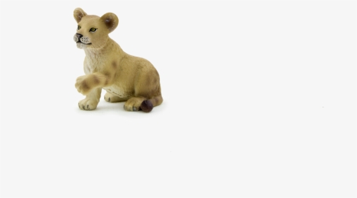 Mojo Lion Cub Playing , Png Download - Lion, Transparent Png, Transparent PNG