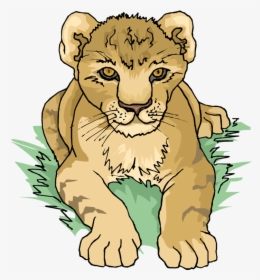 Free Lion Cub - Free Clipart Lion Cub, HD Png Download, Transparent PNG
