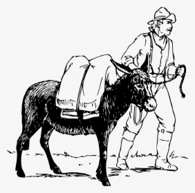 Man And Donkey 2 Clip Arts - Black Man On A Mule, HD Png Download, Transparent PNG
