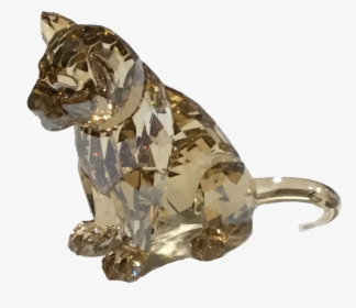 2016 Scs Lion Cub - Boxer, HD Png Download, Transparent PNG