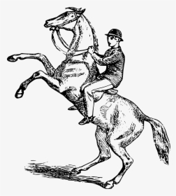Free Man Riding A Rearing Horse - Man On Horse Drawing, HD Png Download, Transparent PNG