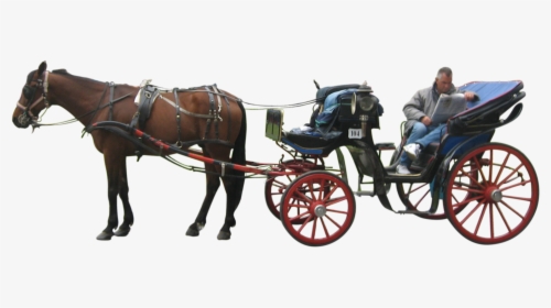 Carriage Png - Horse Drawn Carriage Png, Transparent Png, Transparent PNG