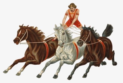 Victorian Vintage Horses Carriage - Hold Your Horses Idiom, HD Png Download, Transparent PNG