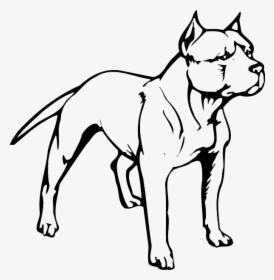 American Pit Bull Terrier Puppy American Bully - Easy Pitbull Dog Drawing, HD Png Download, Transparent PNG