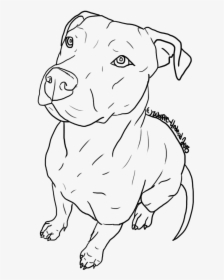 American Pit Bull Terrier Puppy Drawing Line Art - Cute Drawings Of Pit Bulls, HD Png Download, Transparent PNG