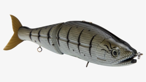 Bass, HD Png Download, Transparent PNG