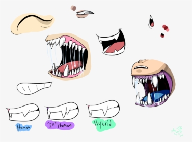 Drawing Teeth Creepy - Types Of Teeth Drawings, HD Png Download, Transparent PNG