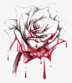Transparent Bloody Rose Png - Bleeding Rose Drawing, Png Download, Transparent PNG