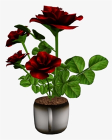 Flowerpot, HD Png Download, Transparent PNG