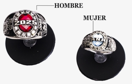 Earrings, HD Png Download, Transparent PNG