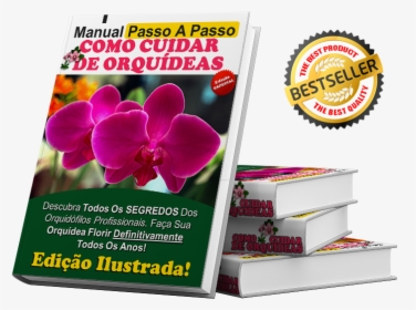 Cuidar De Orquideas - Moth Orchid, HD Png Download, Transparent PNG