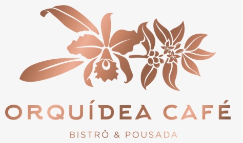 Cafe Orquidea, HD Png Download, Transparent PNG