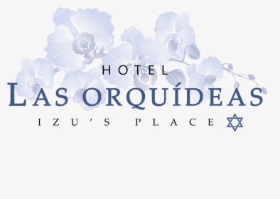 Hotel Las Orquideas Jaco, HD Png Download, Transparent PNG
