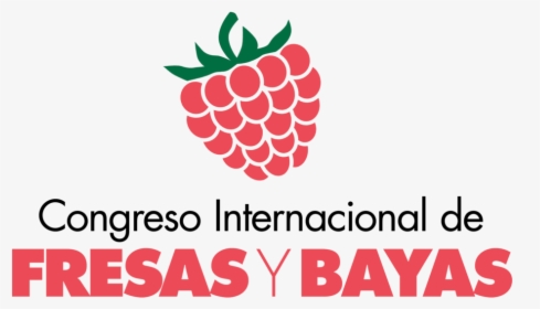 1er Congreso Internacional De Bayas Y Fresas - Anadolu Hayat Emeklilik A.s, HD Png Download, Transparent PNG