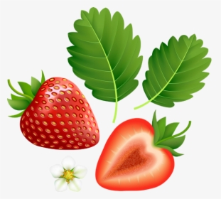 Imagenes De Fresas Png - Transparent Background Strawberry Clipart, Png Download, Transparent PNG